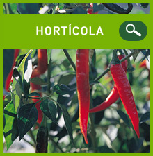 horticola